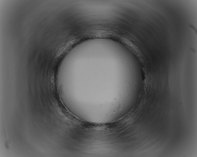 X0000102030306200807181012