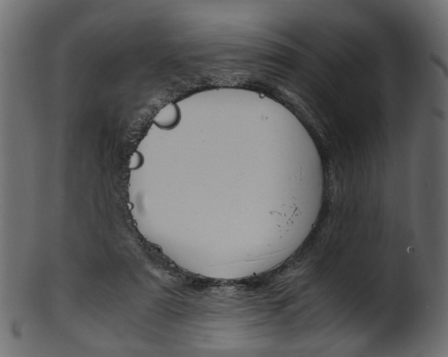 X0000102030307200807181012