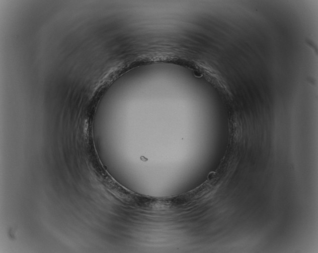 X0000102030308200807181012