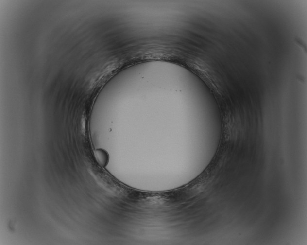 X0000102030310200807181012