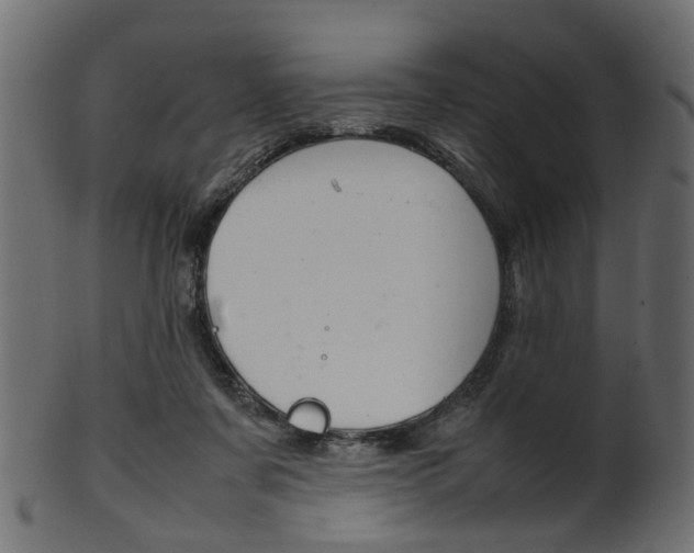 X0000102030311200807181012