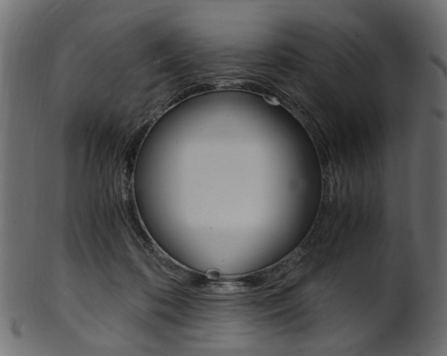 X0000102030316200807181012