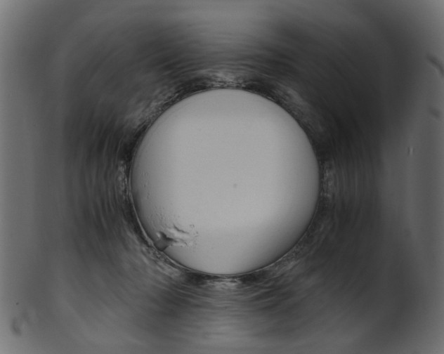 X0000102030318200807181012