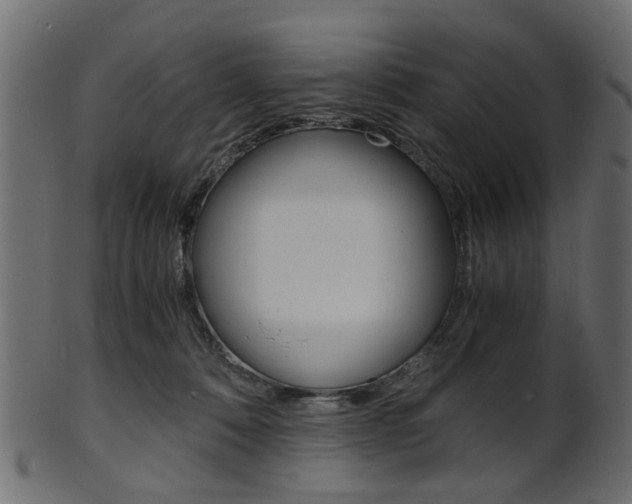 X0000102030320200807181012