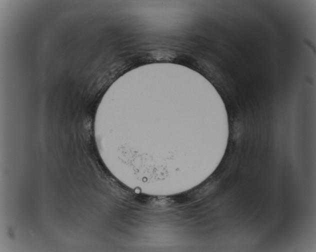 X0000102030321200807181012