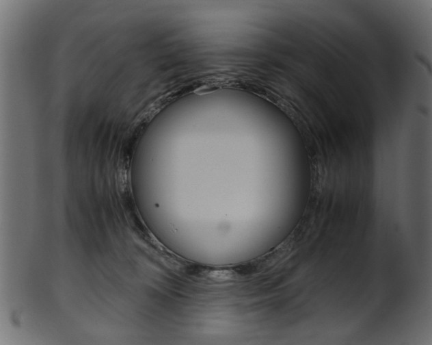 X0000102030324200807181012