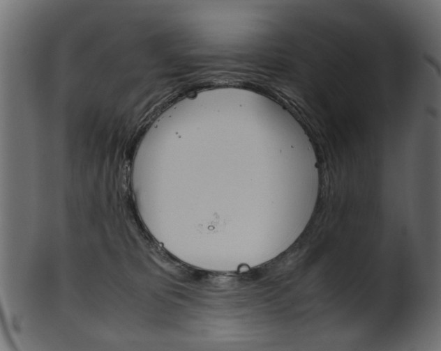 X0000102030325200807181012