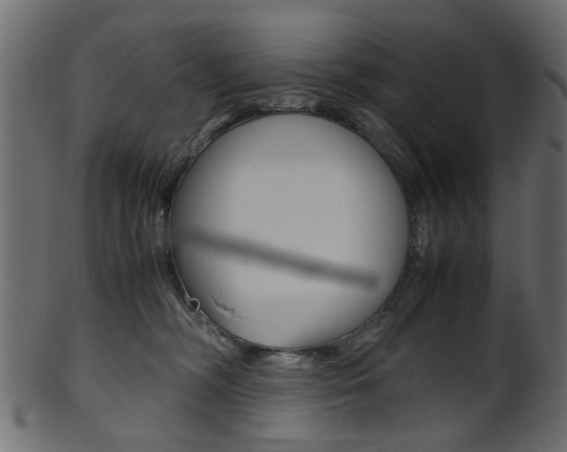 X0000102030326200807181012