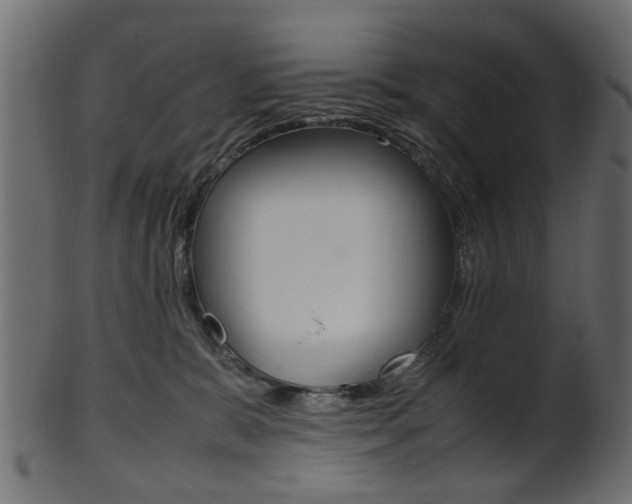 X0000102030327200807181012