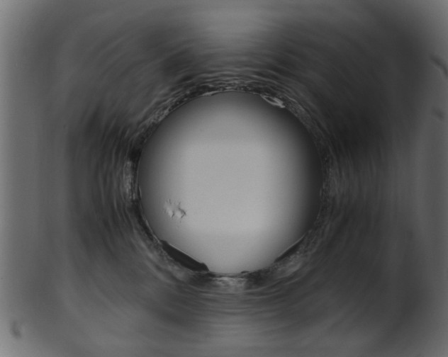 X0000102030328200807181012