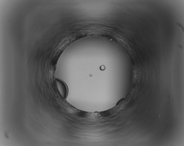 X0000102030333200807181012