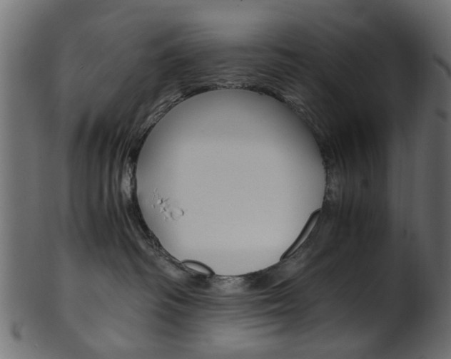 X0000102030334200807181012