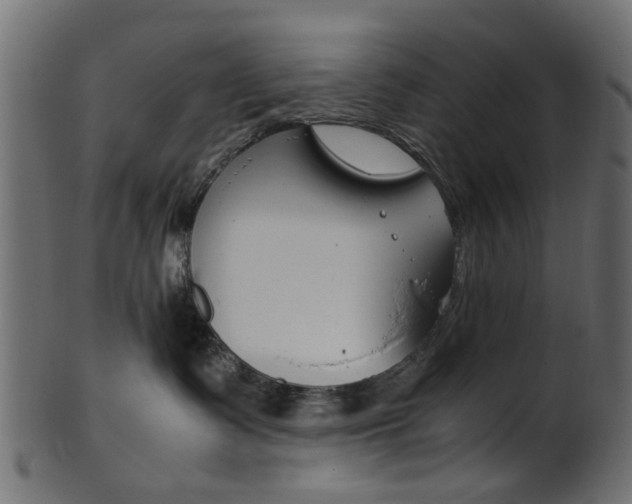 X0000102030335200807181012