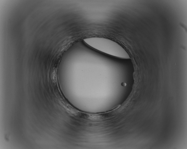 X0000102030336200807181012