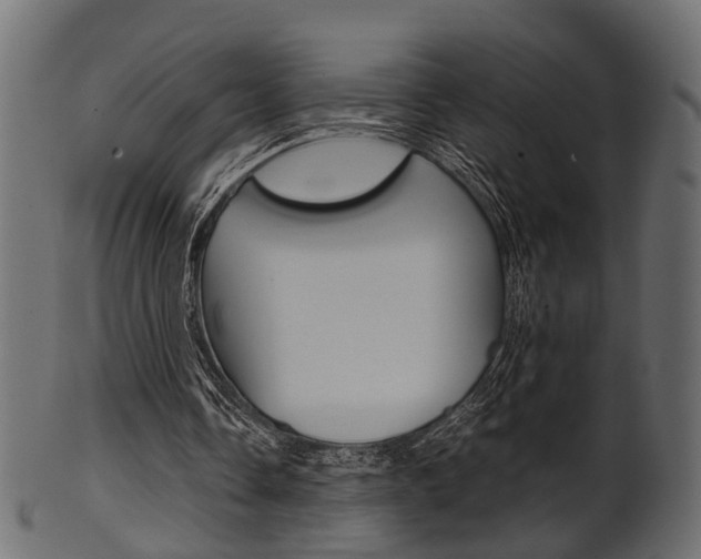 X0000102030338200807181011