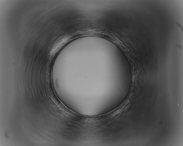 X0000102030341200807181011