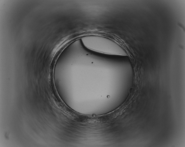 X0000102030344200807181011