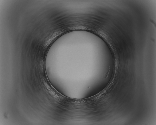 X0000102030345200807181011