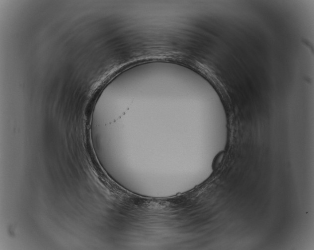 X0000102030346200807181011