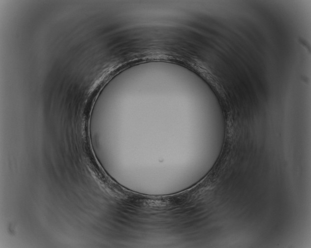 X0000102030347200807181011