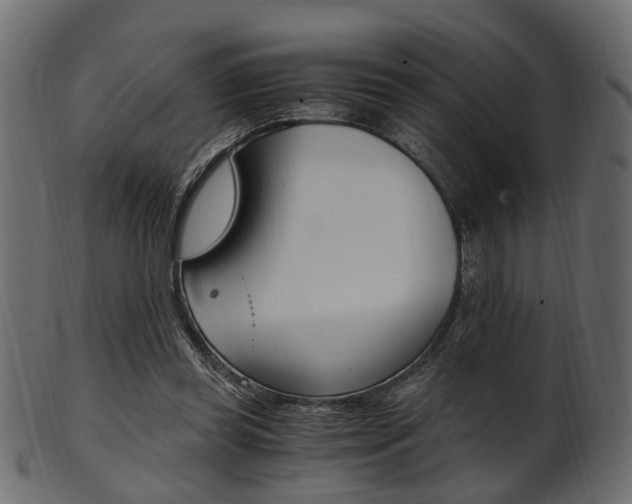 X0000102030349200807181011