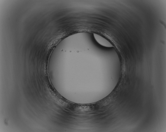 X0000102030353200807181012