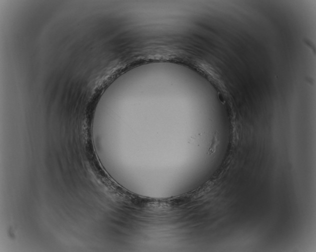 X0000102030354200807181012