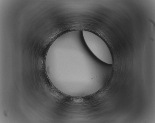 X0000102030355200807181012