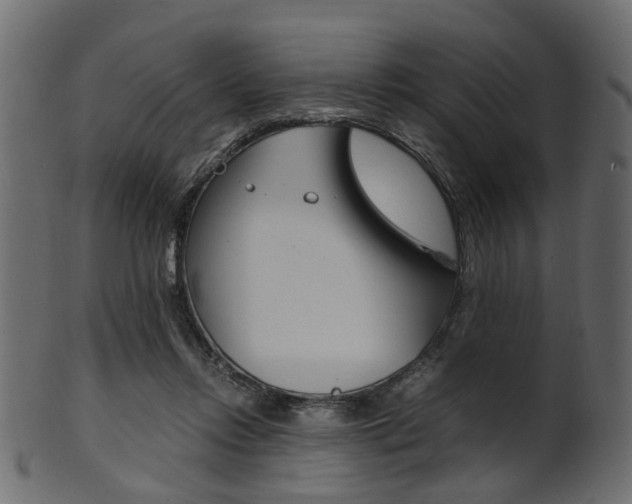 X0000102030358200807181012