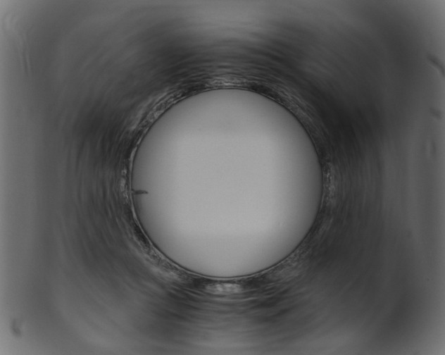 X0000102030361200807181012