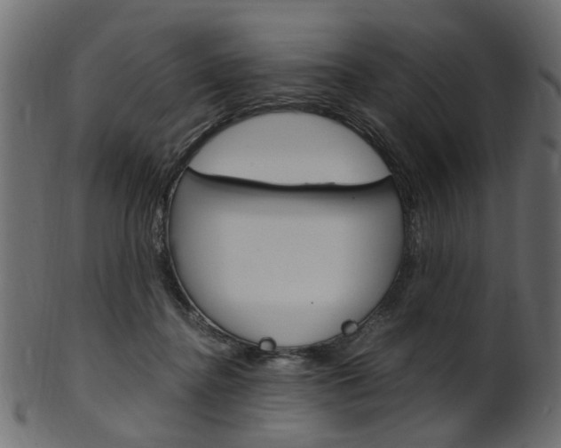 X0000102030364200807181012