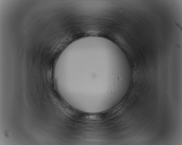 X0000102030365200807181012