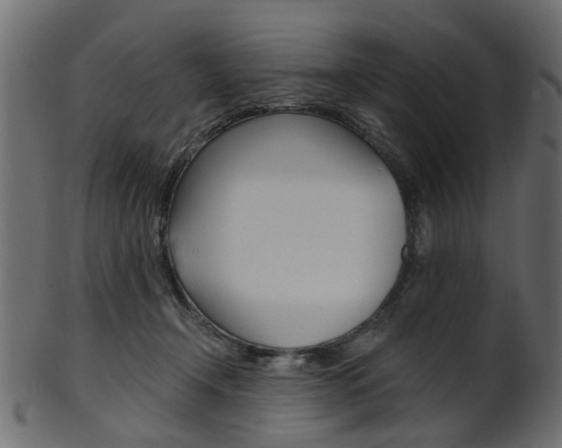 X0000102030366200807181012