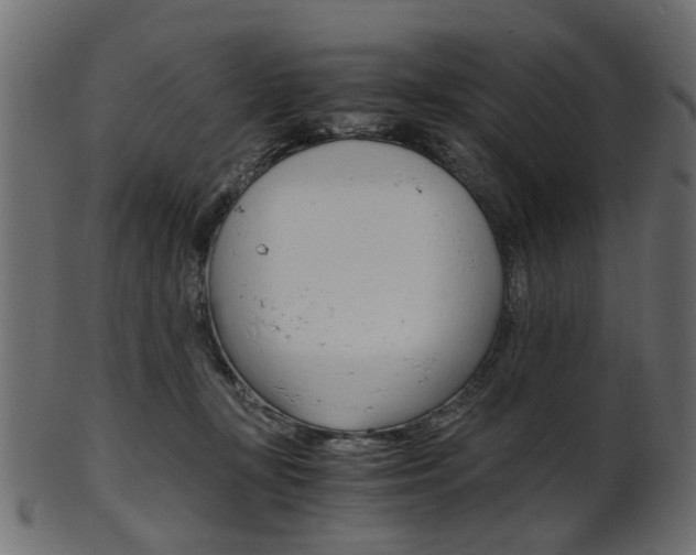 X0000102030367200807181012