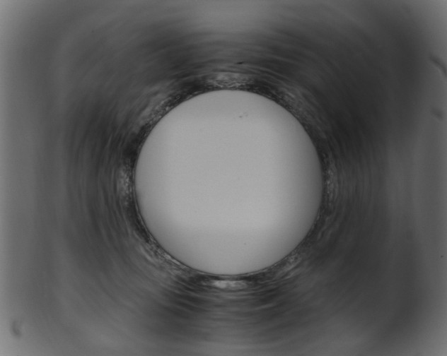 X0000102030371200807181012