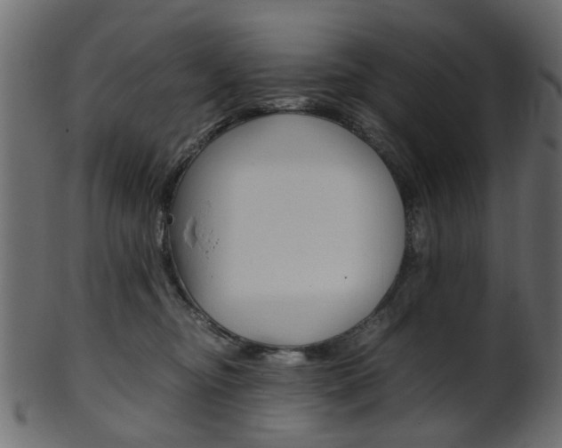 X0000102030374200807181012