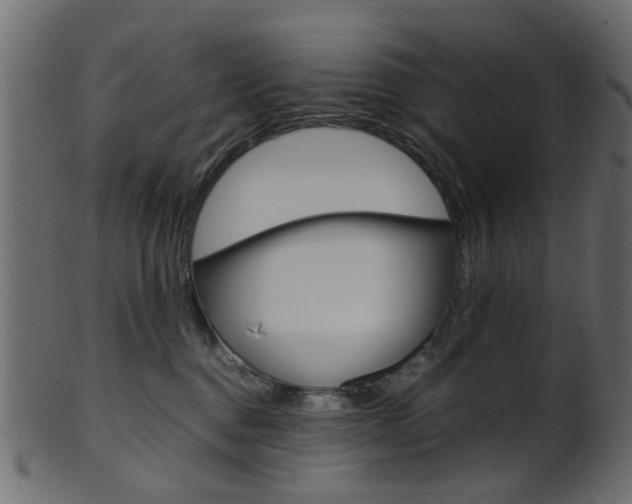 X0000102030376200807181012