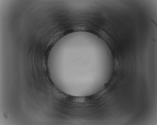 X0000102030377200807181012