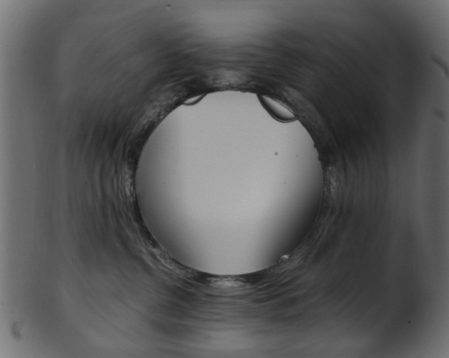 X0000102030380200807181012