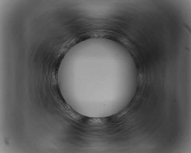 X0000102030381200807181012