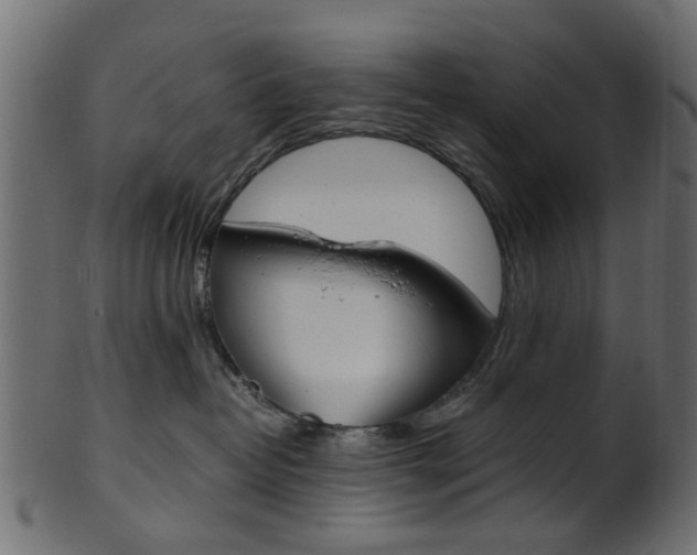 X0000102030382200807181012