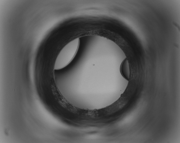 X0000102030383200807181012