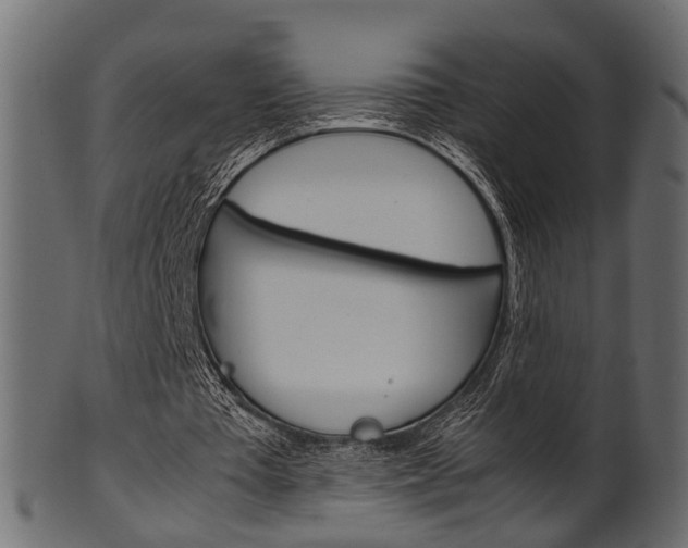 X0000102030385200807181011