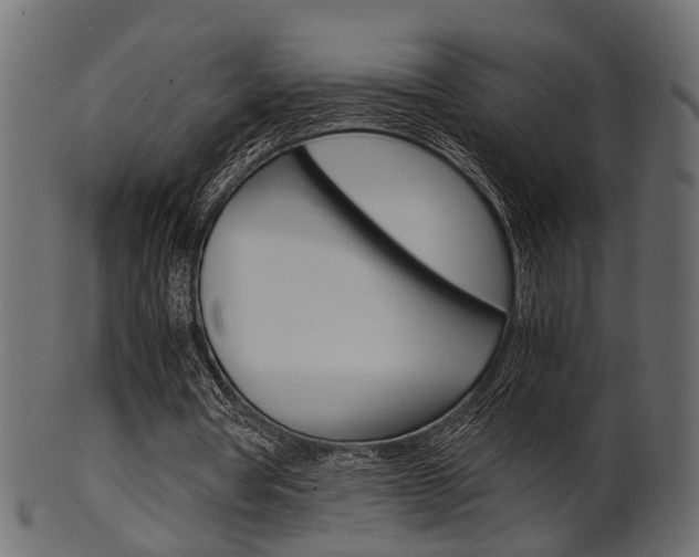 X0000102030386200807181011