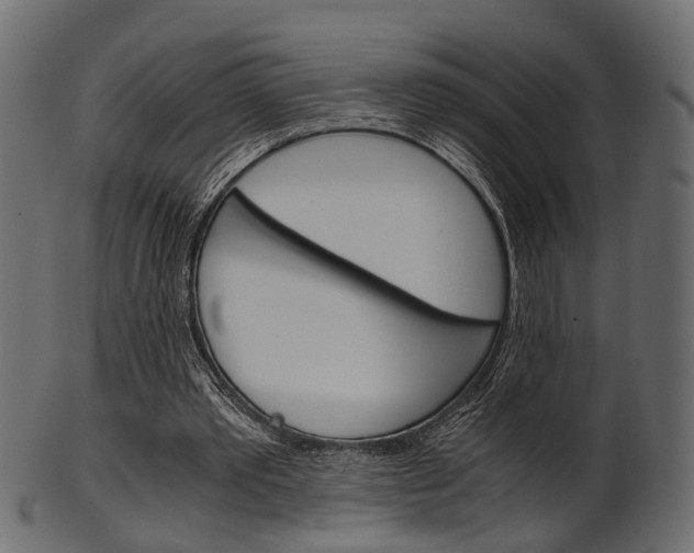 X0000102030389200807181011