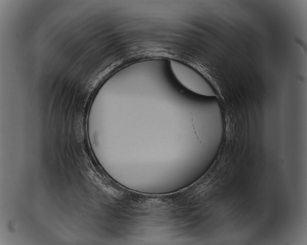 X0000102030390200807181011