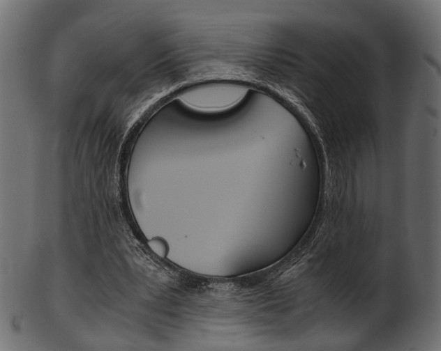 X0000102030391200807181011