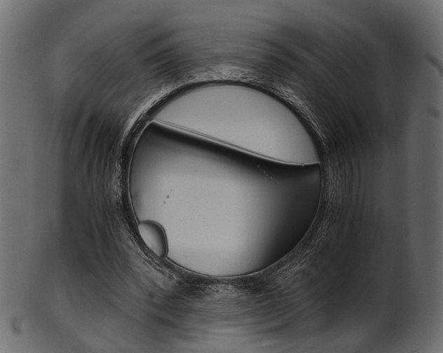 X0000102030392200807181011