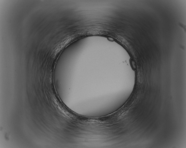 X0000102030393200807181011