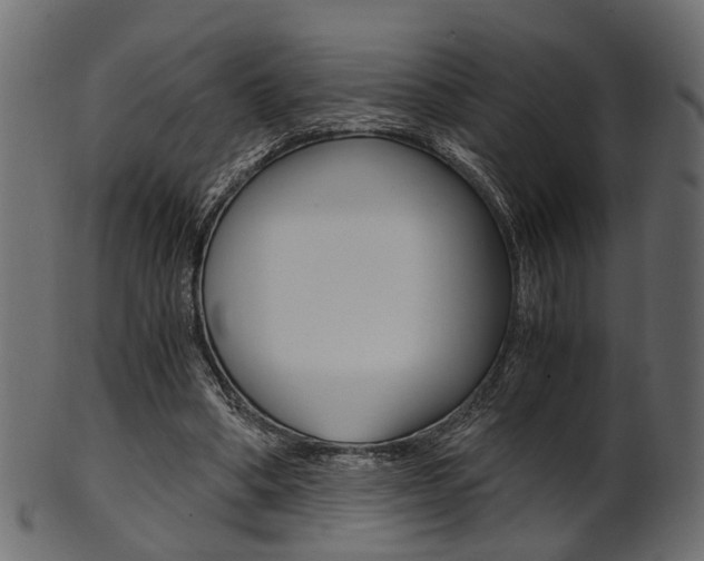 X0000102030394200807181011